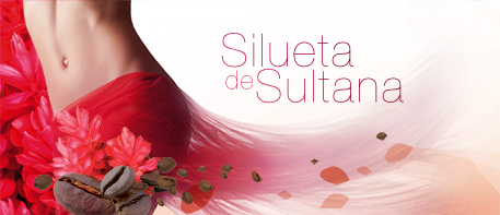 BANNIERE-SILUETA-2013